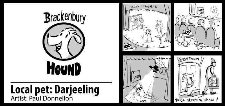 brackenbury-hound-darjeeling